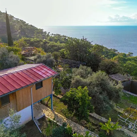 Apartment Bluesea -mercan