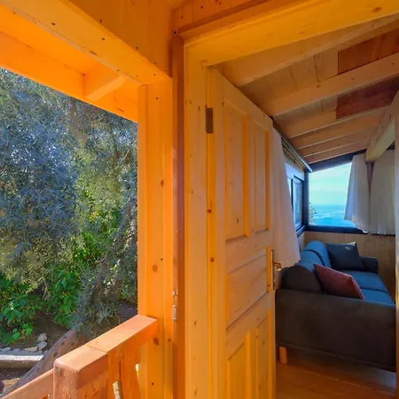 Bluesea -mercan Apartment