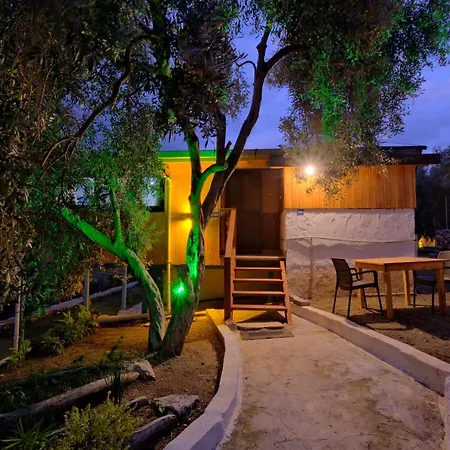 Bluesea -mercan Apartmán